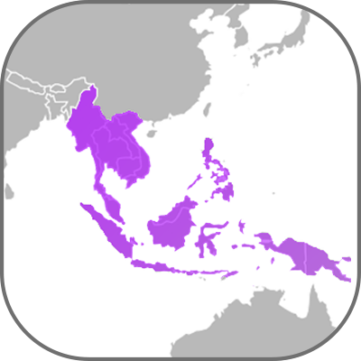 Jihovýchodní asijské osvětlení trh